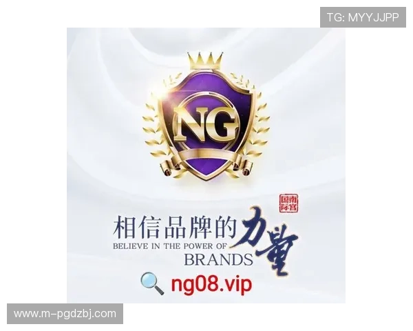 星空电子PG官网网址详细介绍产品与服务内容