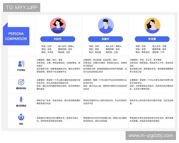 深入了解PG电子官方网站的人口结构与用户群体特征分析